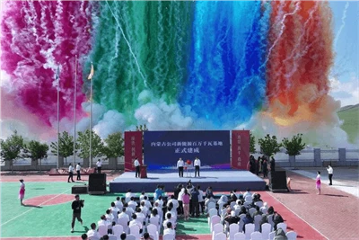 Inner Mongolia Huolinhe Circular Economy Green Power Installed Capacity Break...